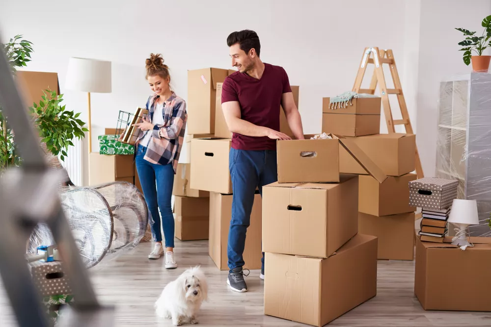 Image of Moving in and Moving Out