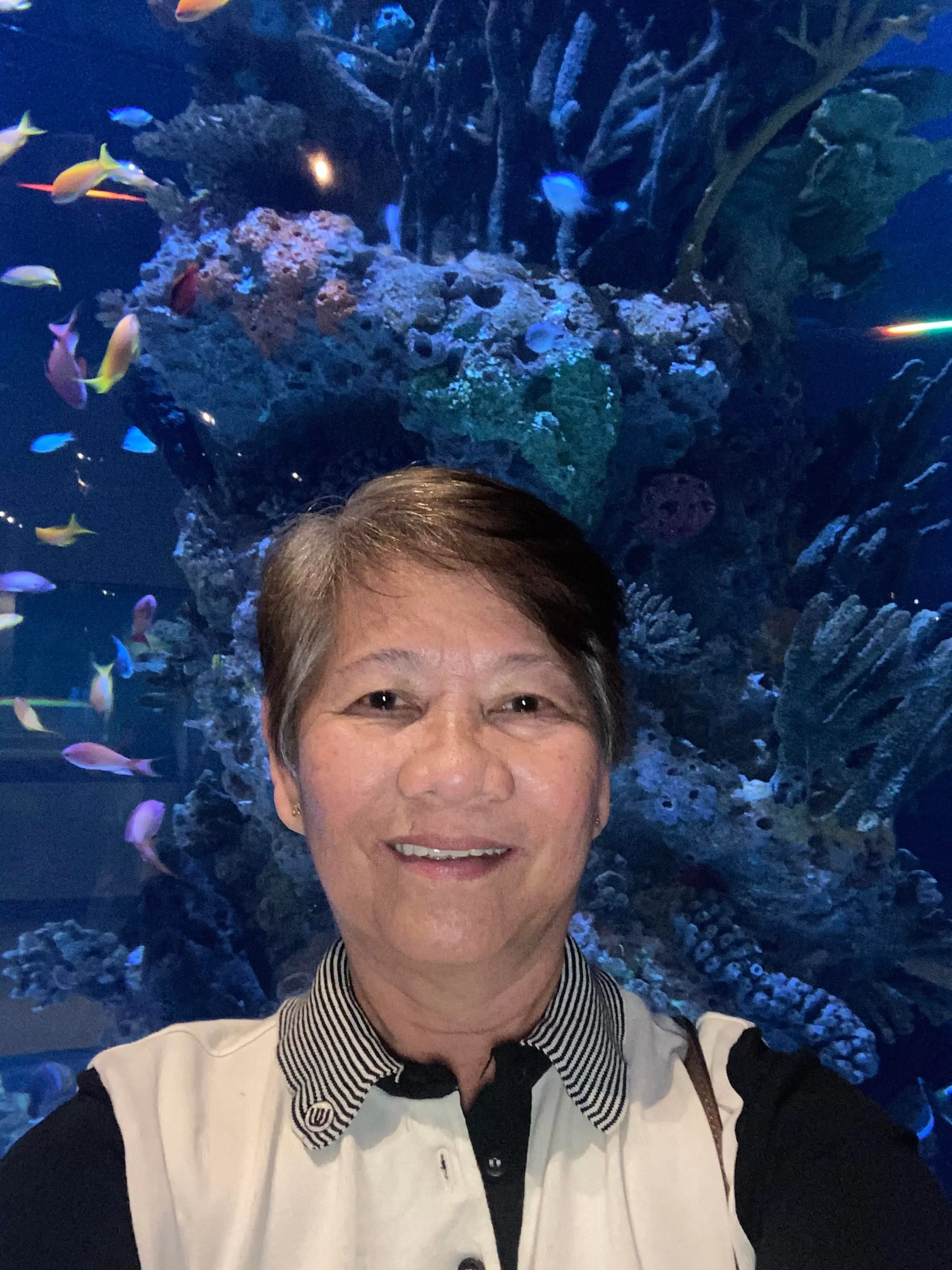 Image of Imelda